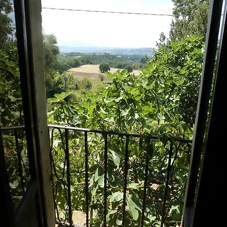 Santa Pudenziana Εξοχικό σπίτι Νάρνη